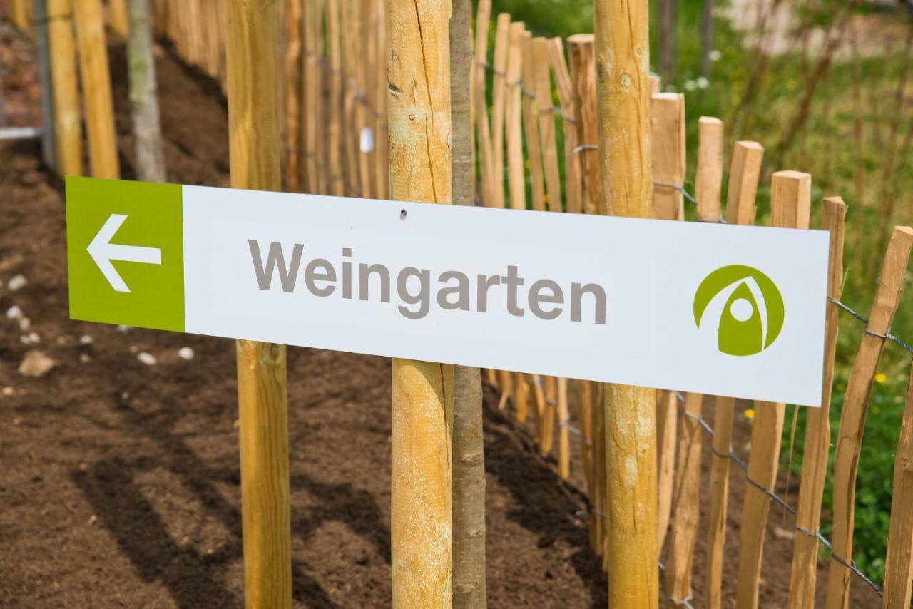Glamping Resort Biosphaere Bliesgau Kleinblittersdorf Esterno foto